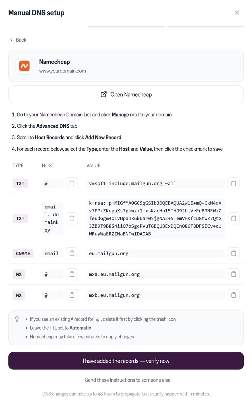 Manual DNS setup widget showing the records to add at your DNS provider