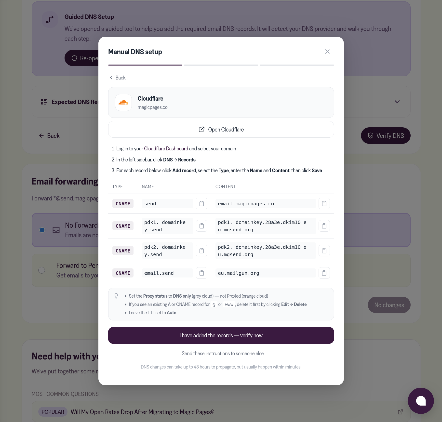 Manual DNS setup widget showing the records to add at your DNS provider